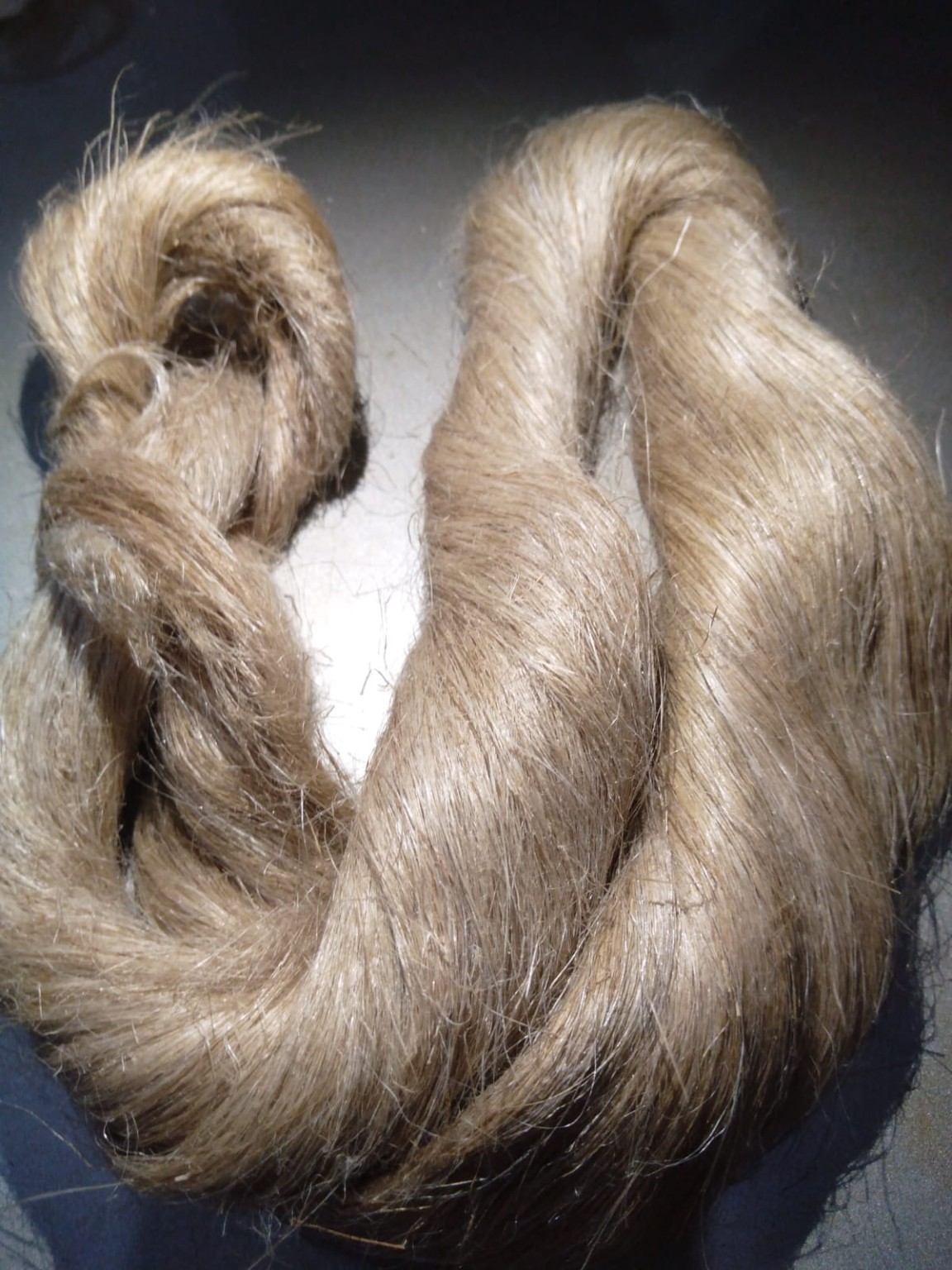 Hackled flax fiber
