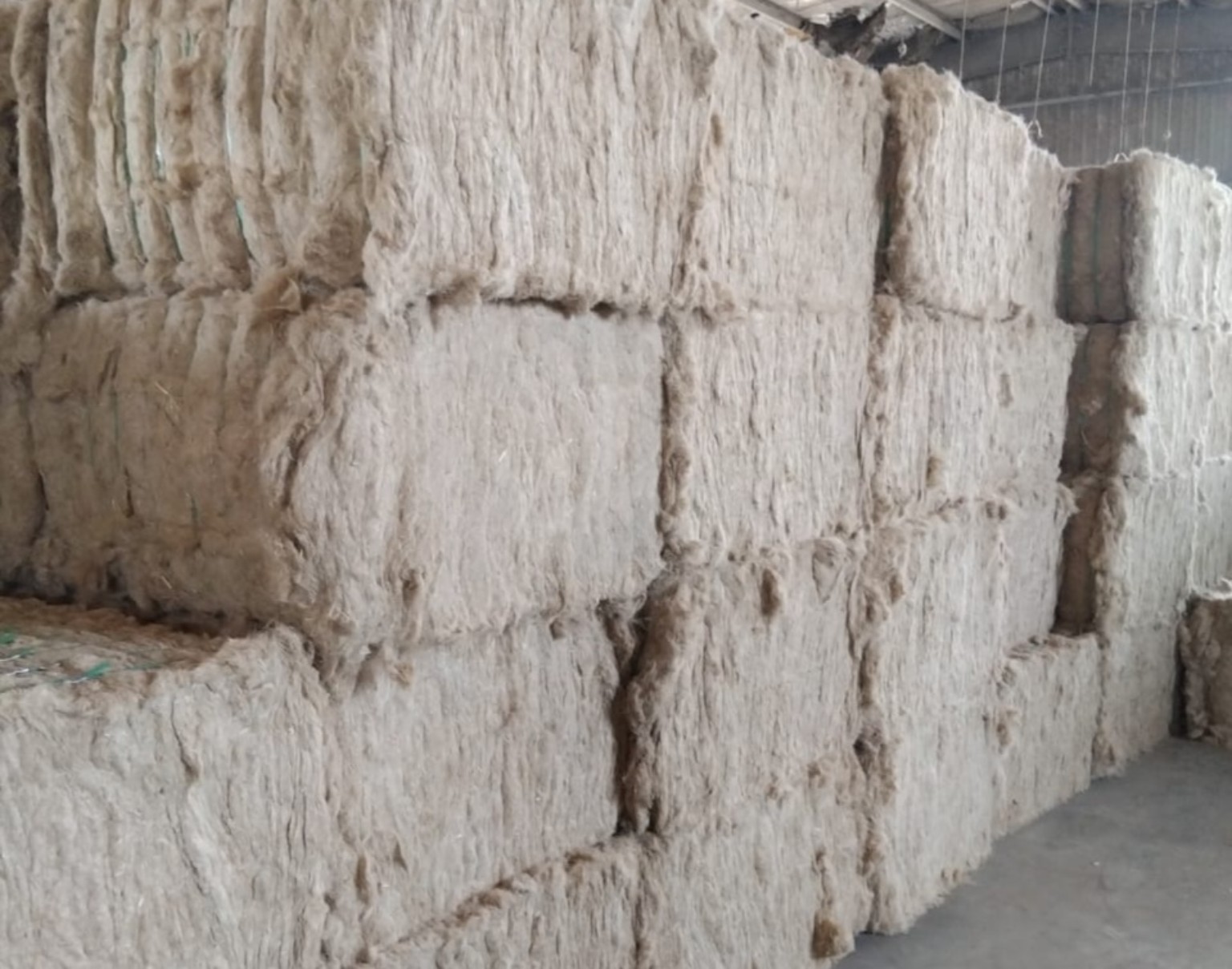 Rescutched tow flax compressed bales